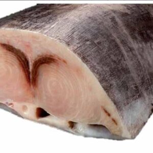 Centro de Pez Espada Nacional