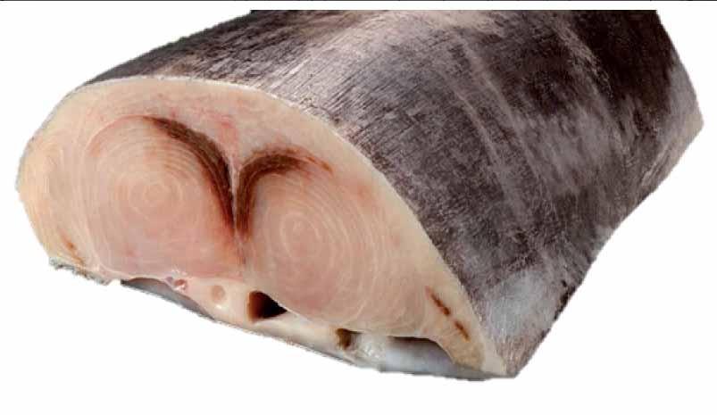 Centro de Pez Espada Nacional