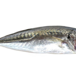 Chicharro Nacional 200/400