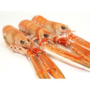 Cigala N00 6/7 piezas el kilo