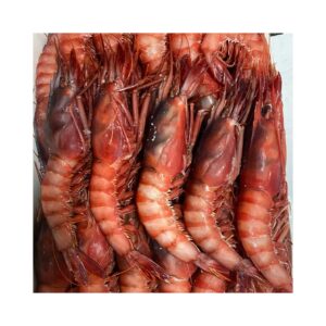 Gamba Pink Gorda Fresca