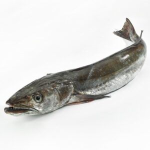 Merluza Nacional 3/4KG Primera Fila