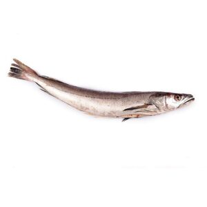 Pescadilla del día 100/200