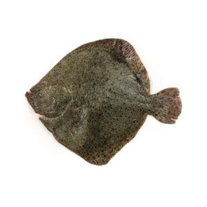 Rodaballo Ración 500GR