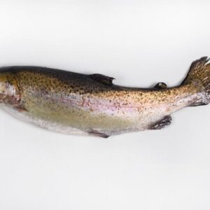 Trucha Asalmonada Selección